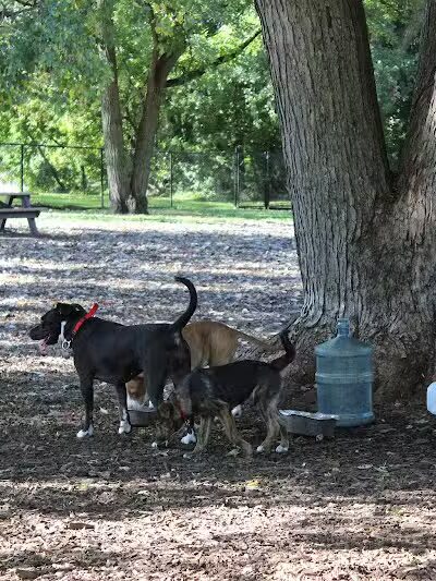 Hillcrest Dog Park - Grand Rapids, MI