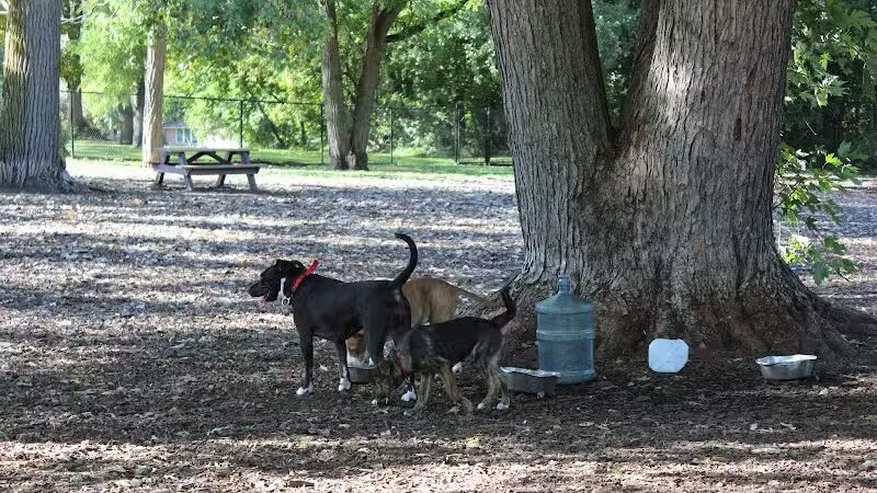 Hillcrest Dog Park - Grand Rapids, MI