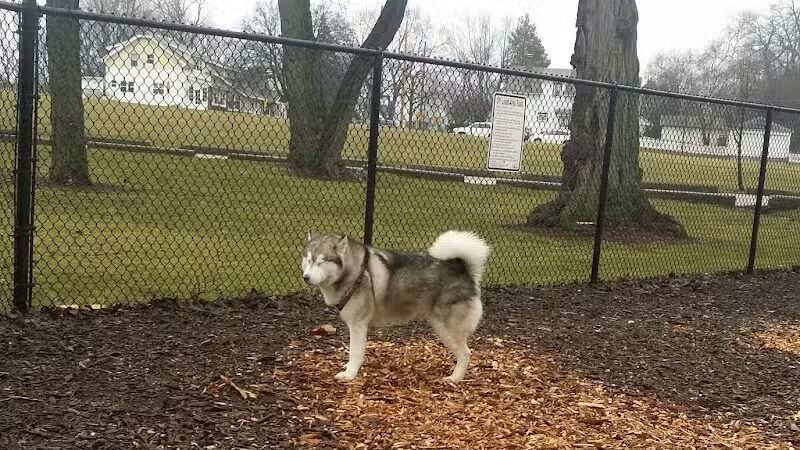 Hillcrest Dog Park - Grand Rapids, MI