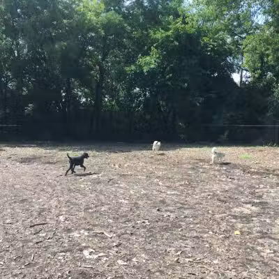 Hillcrest Dog Park - Grand Rapids, MI