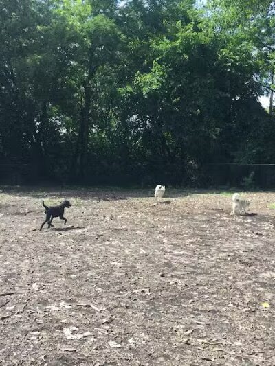 Hillcrest Dog Park - Grand Rapids, MI