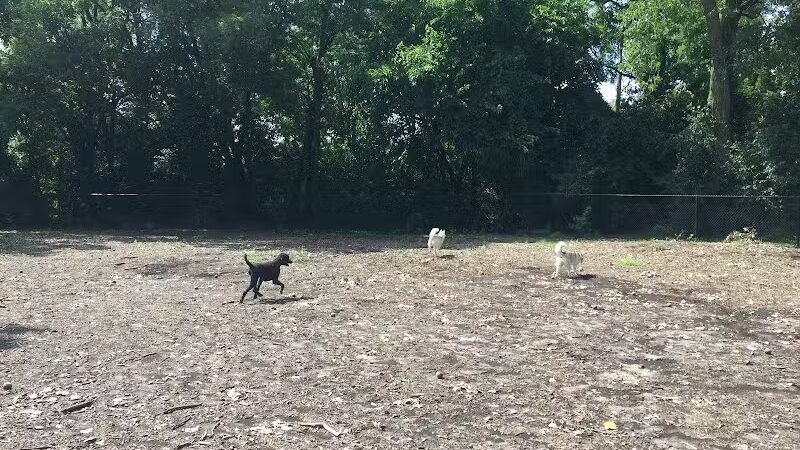Hillcrest Dog Park - Grand Rapids, MI