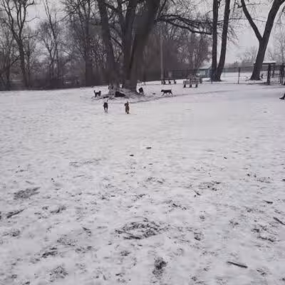 Hillcrest Dog Park - Grand Rapids, MI