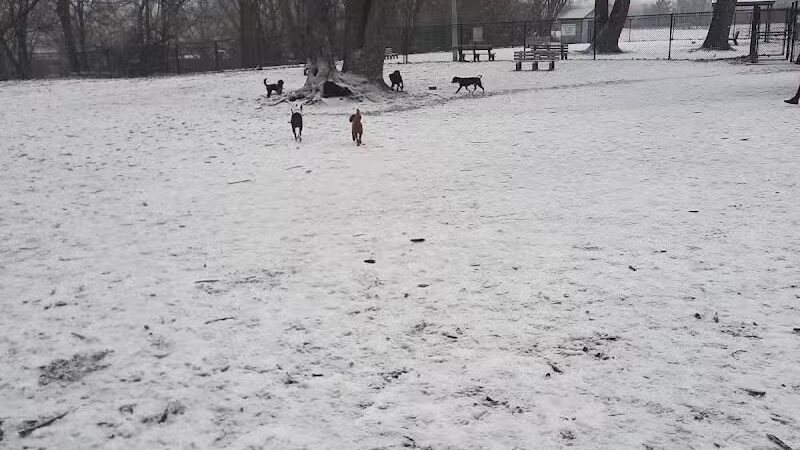 Hillcrest Dog Park - Grand Rapids, MI