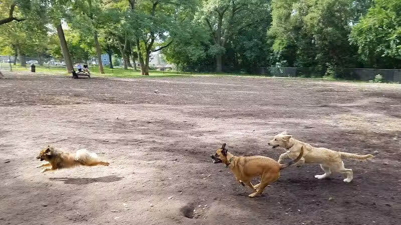 Hillcrest Dog Park - Grand Rapids, MI