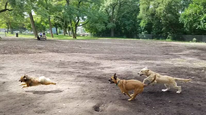 Hillcrest Dog Park - Grand Rapids, MI