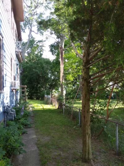 Joe Taylor Park - Grand Rapids,