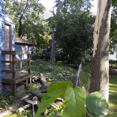 Joe Taylor Park - Grand Rapids,