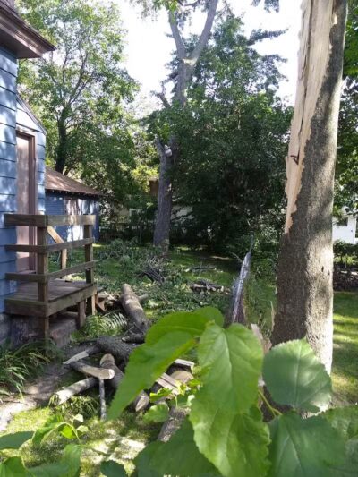 Joe Taylor Park - Grand Rapids,