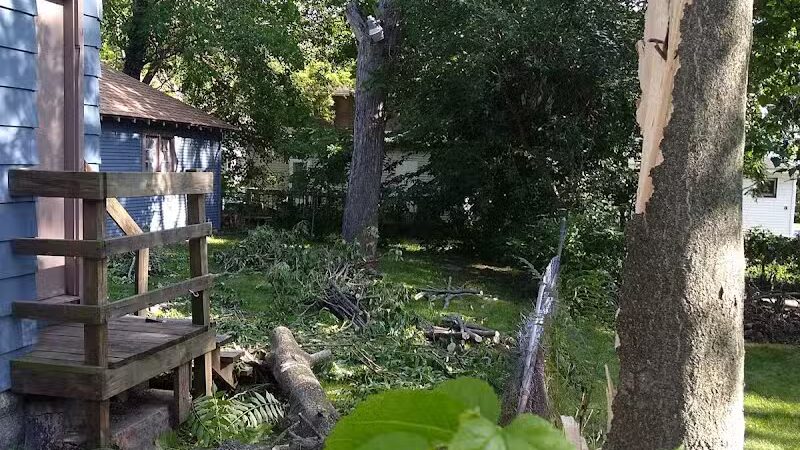 Joe Taylor Park - Grand Rapids,