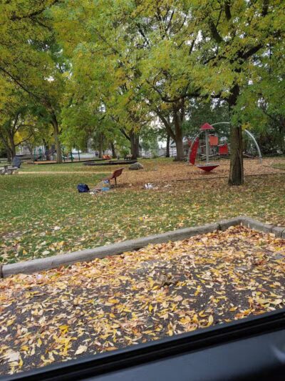 Joe Taylor Park - Grand Rapids,