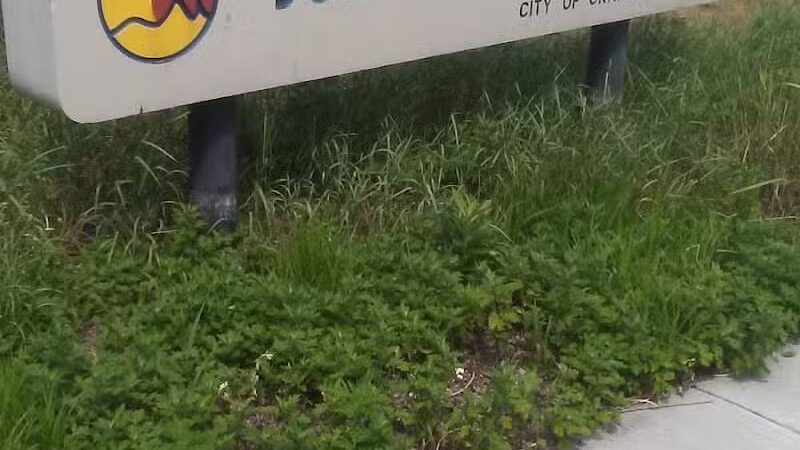 Joe Taylor Park - Grand Rapids,