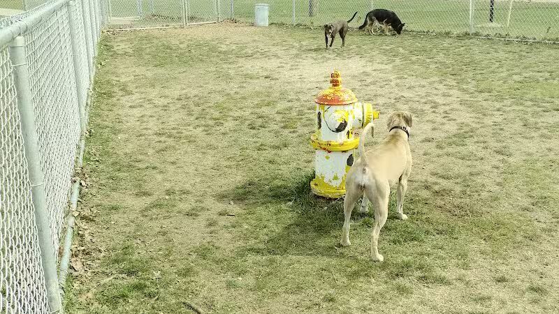 Kellogg Woods Park - Grand Rapids,