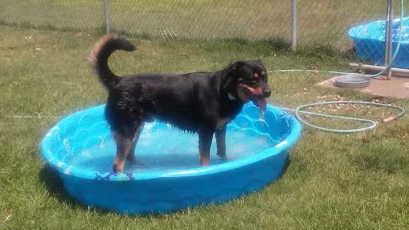 Kellogg Woods Park - Grand Rapids,