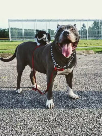 Kellogg Woods Park - Grand Rapids,