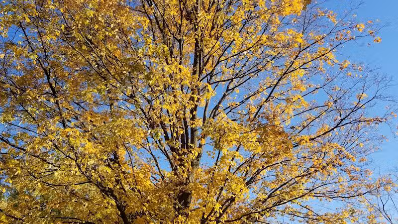 Kellogg Woods Park - Grand Rapids,