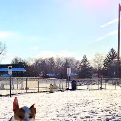 Kellogg Woods Park - Grand Rapids,