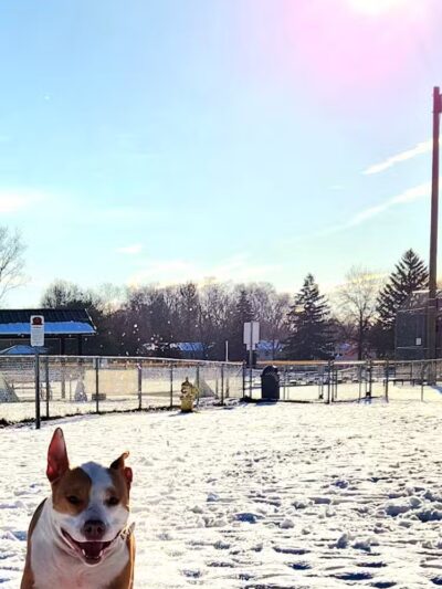 Kellogg Woods Park - Grand Rapids,