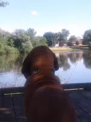 Ambrose Park - Grand Rapids, MI