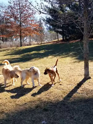 Cambridge Park - Grand Rapids,