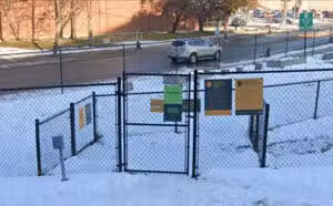 Downtown Dog Park - Grand Rapids, MI
