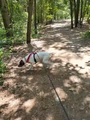 Provin Trails - Grand Rapids, MI