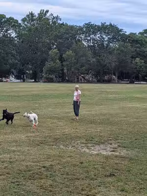 Wilcox Park - Grand Rapids,