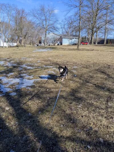 Midtown Green - Grand Rapids,