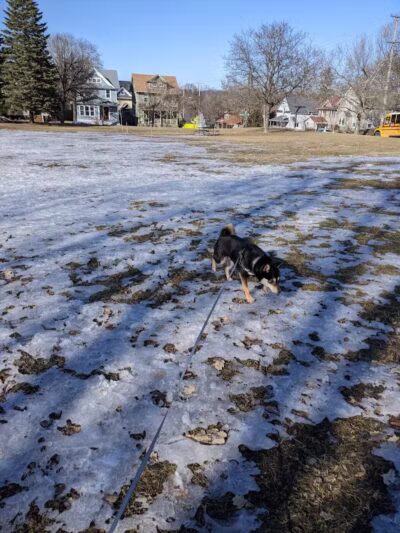 Midtown Green - Grand Rapids,