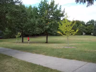 Midtown Green - Grand Rapids,