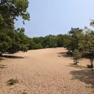 Provin Trails - Grand Rapids, MI