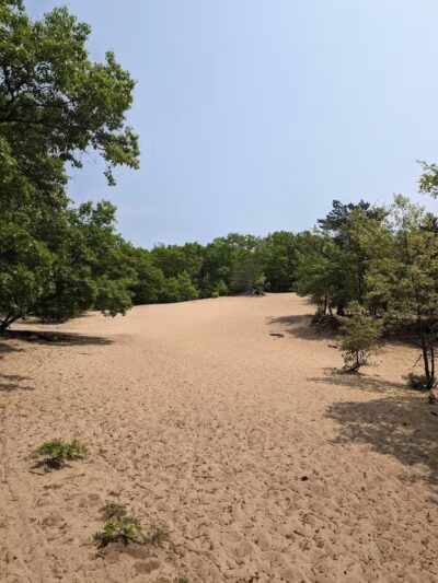 Provin Trails - Grand Rapids, MI