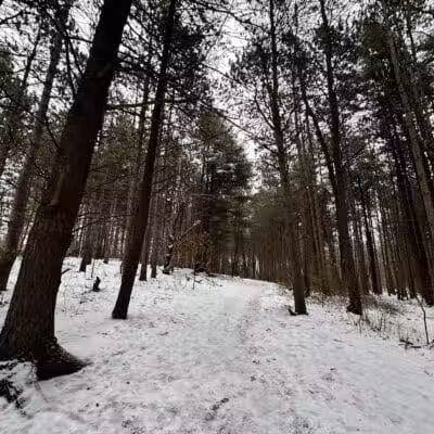 Provin Trails - Grand Rapids, MI