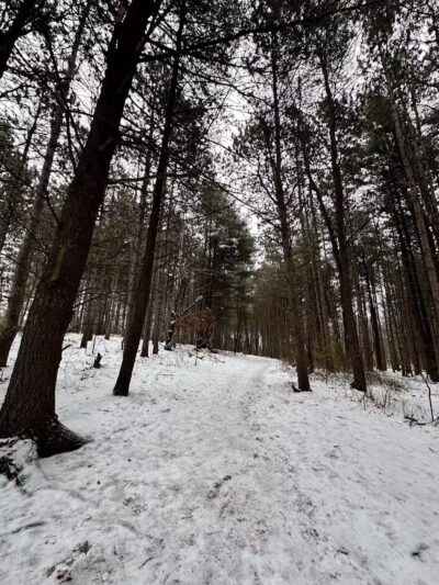 Provin Trails - Grand Rapids, MI