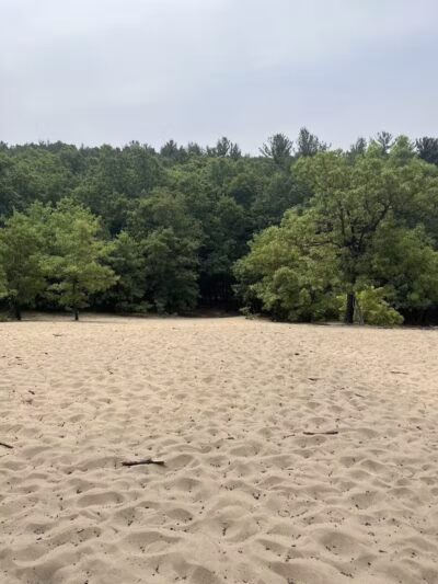 Provin Trails - Grand Rapids, MI