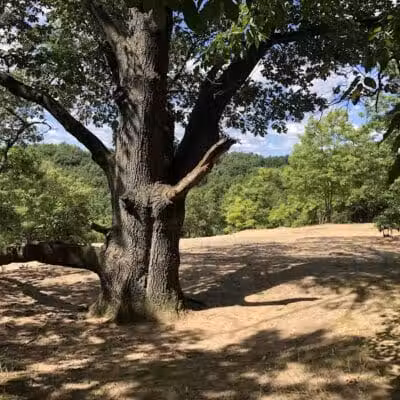 Provin Trails - Grand Rapids, MI
