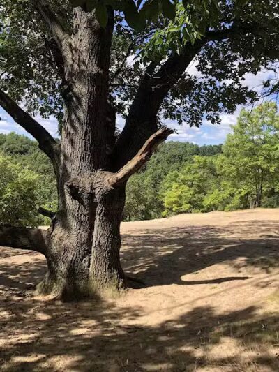 Provin Trails - Grand Rapids, MI