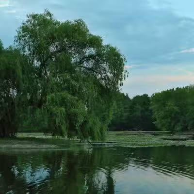 Riverside Park - Grand Rapids,