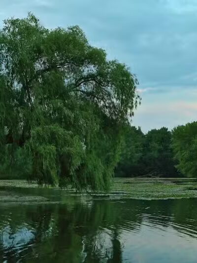 Riverside Park - Grand Rapids,