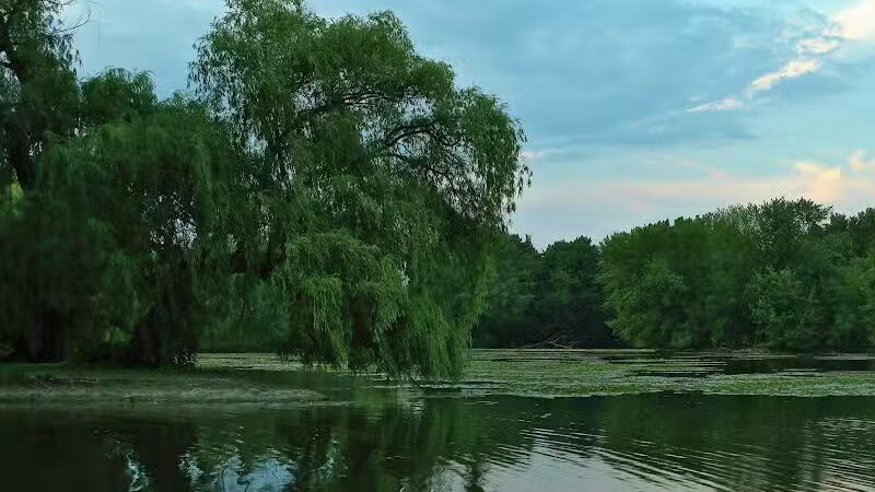Riverside Park - Grand Rapids,
