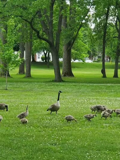 Riverside Park - Grand Rapids,