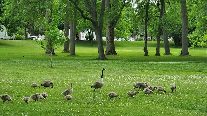 Riverside Park - Grand Rapids,