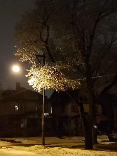 Sigsbee Park - Grand Rapids,