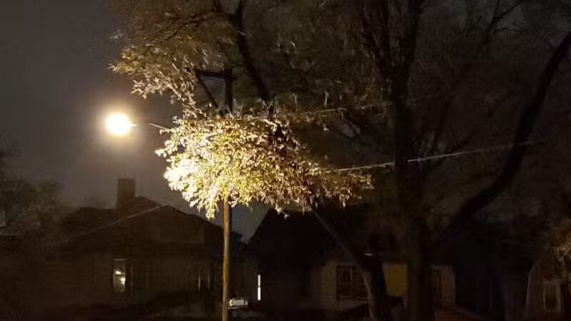 Sigsbee Park - Grand Rapids,