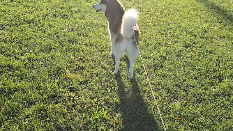 Sigsbee Park - Grand Rapids,