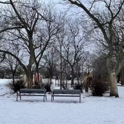 Wilcox Park - Grand Rapids,