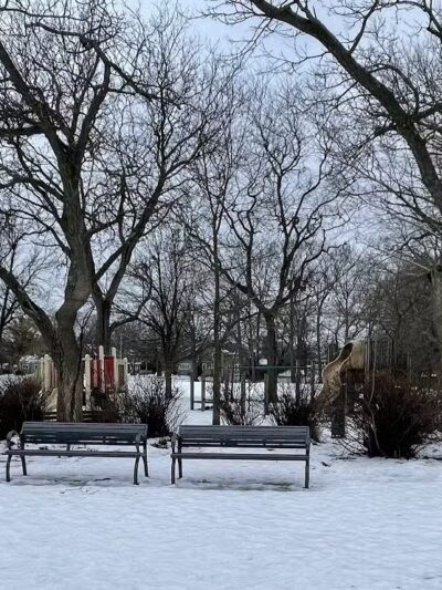 Wilcox Park - Grand Rapids,