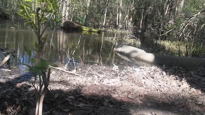 Wilcox Park - Grand Rapids,