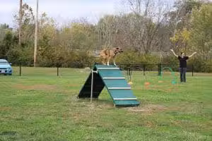 Tails & Trails Dog Park - Grandview, MO