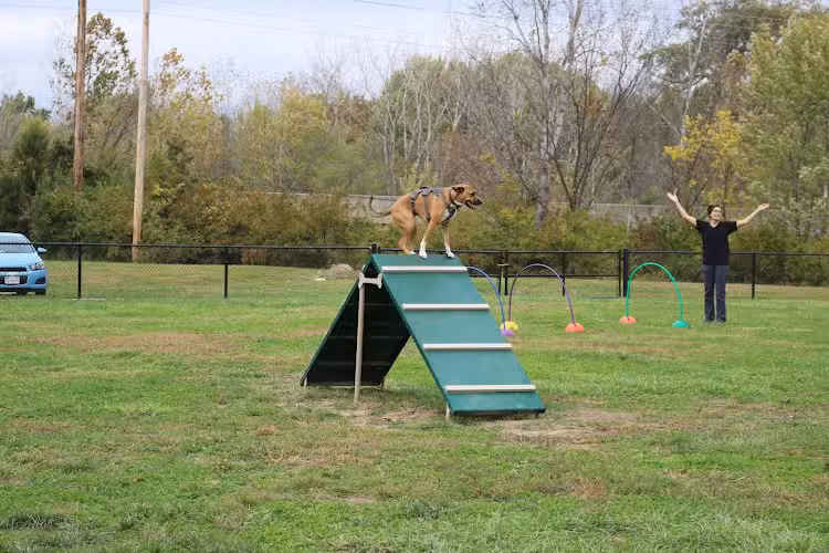 Tails & Trails Dog Park - Grandview, MO